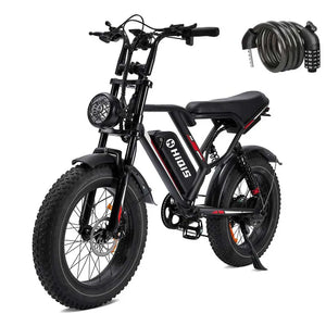 20-Inch Fat Tire Electric Bike, 1000W Motor, 48V 17.5Ah Battery