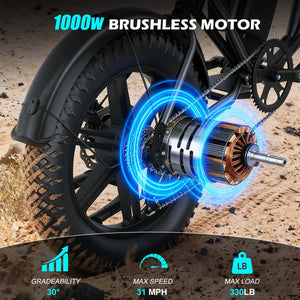 G60 20×4 Inch Fat Tire Electric Bike, 1000W Rear Motor, 48V 20Ah Battery