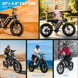 G60 20×4 Inch Fat Tire Electric Bike, 1000W Rear Motor, 48V 20Ah Battery