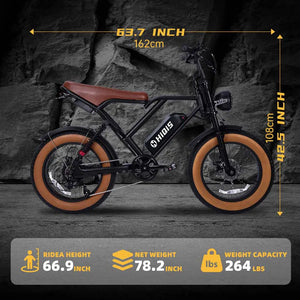S8-Dual 20-Inch Fat Tire Electric Bike, 2000W Dual Motor, 48V 25Ah Battery, AWD E-Bike