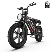 HiQiS C200 Mountain Fat Tire Electric Bike