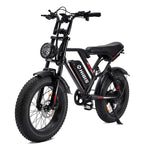 20-Inch Fat Tire Electric Bike, 1000W Motor, 48V 17.5Ah Battery