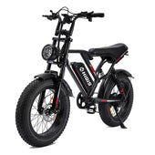 20-Inch Fat Tire Electric Bike, 1000W Motor, 48V 17.5Ah Battery
