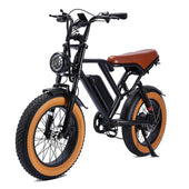 20-Inch Fat Tire Electric Bike, 1000W Motor, 48V 17.5Ah Battery