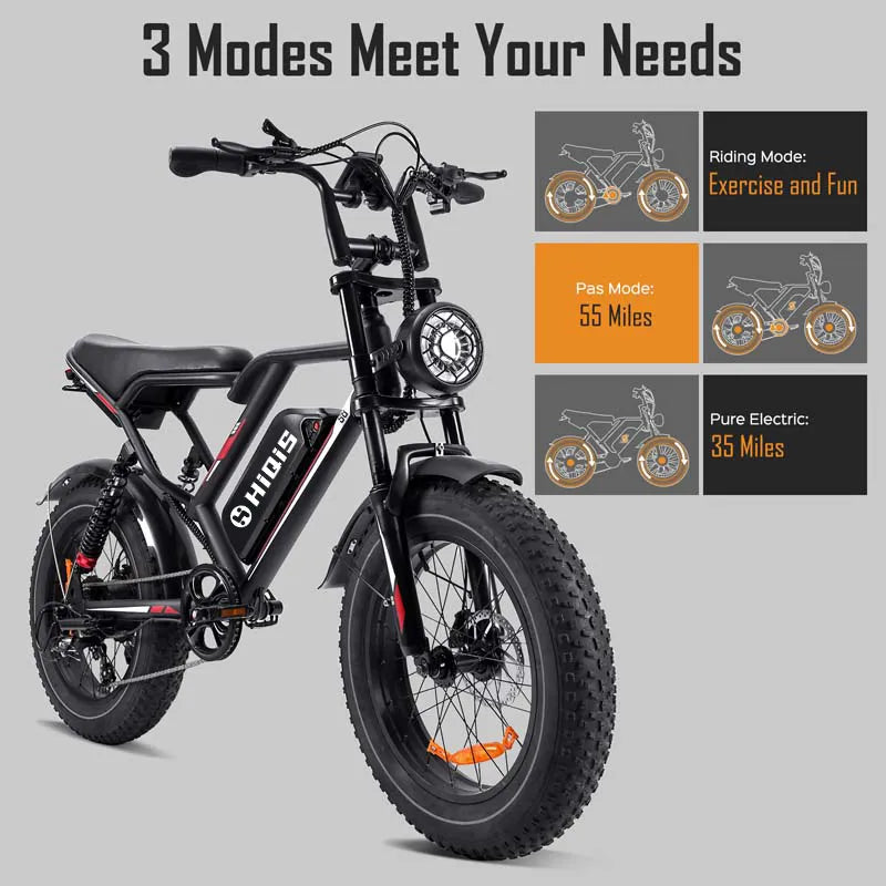 20-Inch Fat Tire Electric Bike, 1000W Motor, 48V 17.5Ah Battery