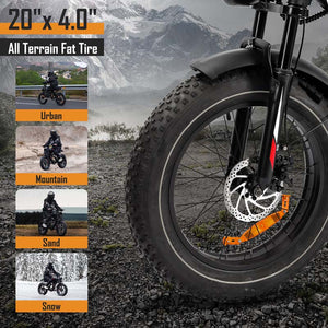 20-Inch Fat Tire Electric Bike, 1000W Motor, 48V 17.5Ah Battery