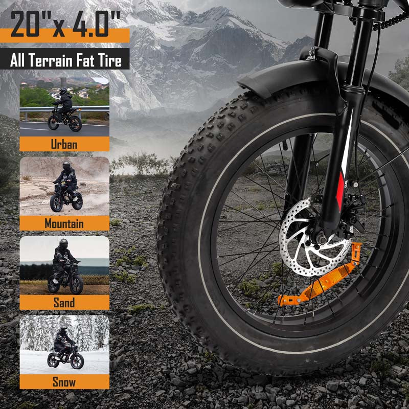 20-Inch Fat Tire Electric Bike, 1000W Motor, 48V 17.5Ah Battery