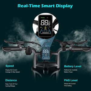 G60 20×4 Inch Fat Tire Electric Bike, 1000W Rear Motor, 48V 20Ah Battery