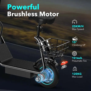 V12 PRO 600W Electric Scooter with 10-Inch Air Tires