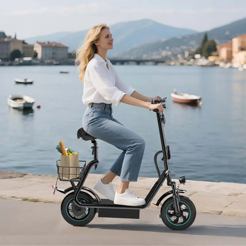 V12 PRO 600W Electric Scooter with 10-Inch Air Tires