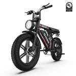 HiQiS C200 Mountain Fat Tire Electric Bike